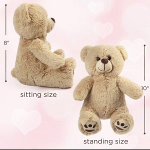 Asap Teddy Bear (same day delivery)