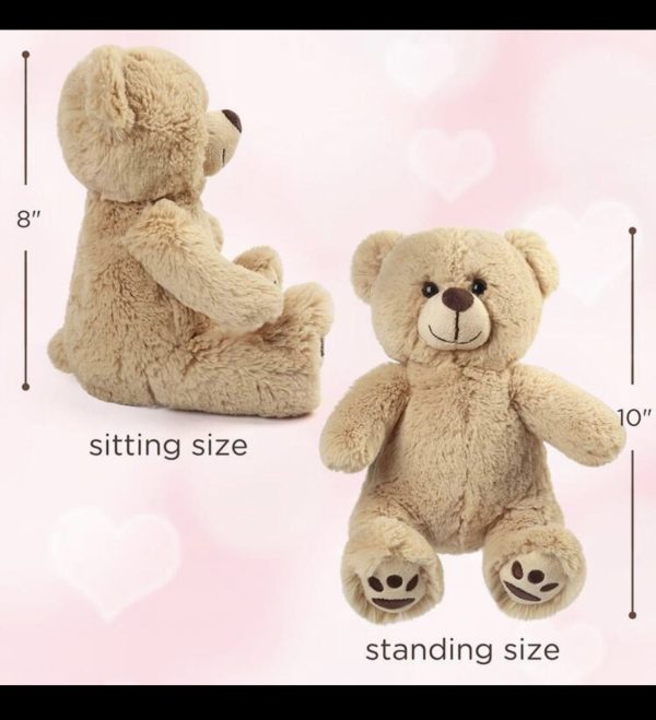 Asap Teddy Bear (same day delivery)